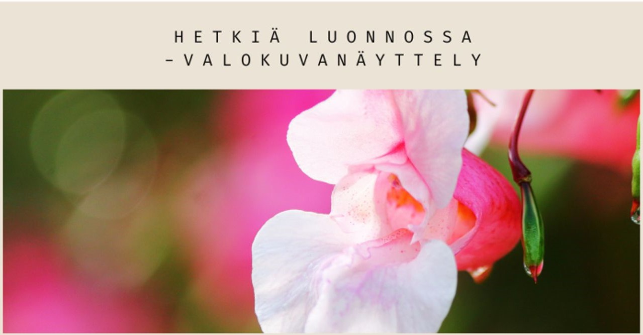 valokuvanäyttely