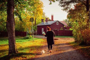 Syksyinen Myllymäki.