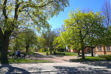 Rauhanpuisto