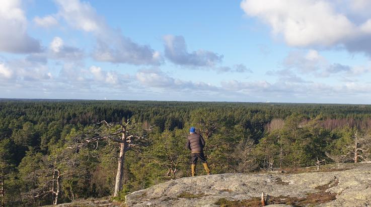 Näkymä vuoren huipulta