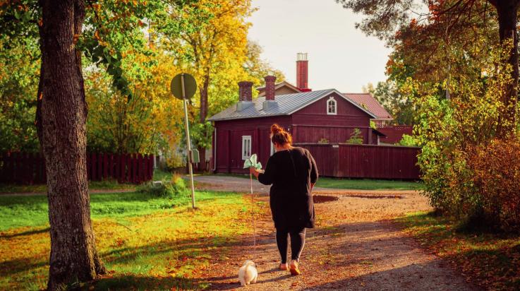 Syksyinen Myllymäki.
