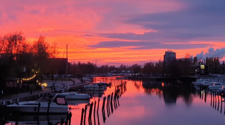 Purppurainen kaupunginlahti