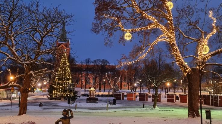 Rauhanpuisto torille