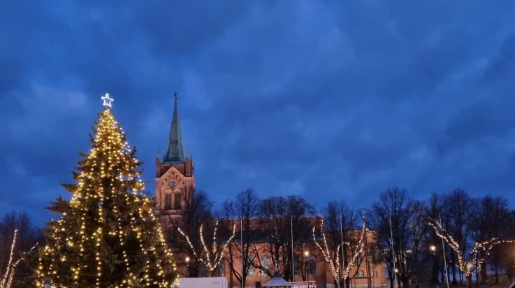 Jouluinen tori