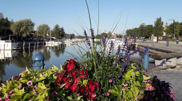 Kaupunginlahti