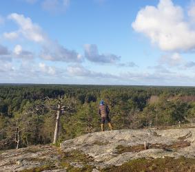 Näkymä vuoren huipulta
