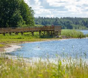 Kasarminlahti esteetön lintulava